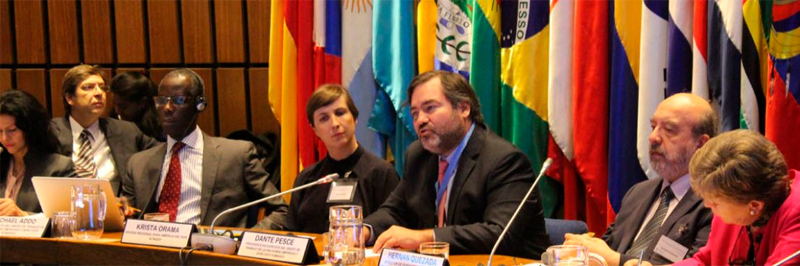 Dante Pesce es miembro del Grupo de Trabajo de Empresa y Derechos Humanos de la ONU.