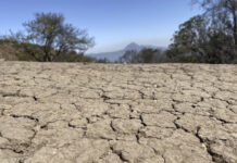 Evitar el Día Cero: cómo planificar ciudades resilientes al agua por Camila Teutsch B.