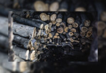 Gremio maderero pide fomentar la demanda interna para capear aranceles de Trump