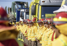 Forestales destinaran US$ 130 millones al combate de incendios