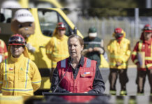 Corma destinará $123 mil millones para enfrentar incendios y 5 mil brigadistas para combate
