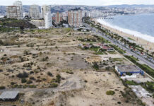 Proteger no es abandonar, es coexistir por Pablo Allard