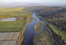 Medio Ambiente opta por pausar definición de 99 sitios prioritarios ante presión del sector privado