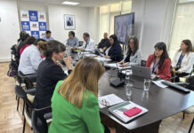 Dirección de Planeamiento MOP presenta Plan Nacional de Infraestructura Pública 2025-2055 ante el Consejo Regional Metropolitano