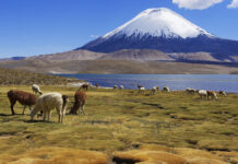 Sistema de indicadores y estándares territoriales