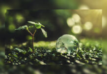 Ciudades Verdes: Una política que se juega en el diseño urbano por Montserrat del Pino