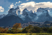Estado del Medio Ambiente