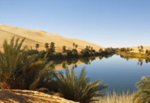 Emiratos Árabes: Innovación en almacenamiento de agua frente a la escasez hídrica