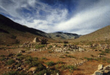 El Camino del Inca en el Norte Grande