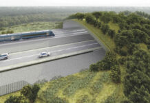 Hito ambiental en Chiloé: se construirá la primera carretera con siete pasos de fauna exclusivos