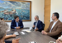 Proyecto de extensión de ruta interportuaria en Gran Concepción se aproxima a definición clave