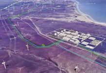 El repliegue del hidrógeno verde: gremios se desarman mientras Gobierno actualiza sus metas