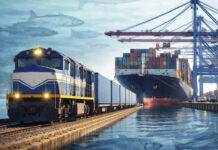 Puertos y trenes: el fortalecimiento de la logística exportadora del salmón