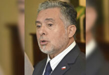 Aseguran que no lo retirarán de tramitación: Energía relega a segundo plano proyecto de ley de hidrógeno verde