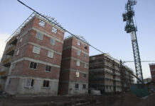 Un shock necesario por Pablo Allard